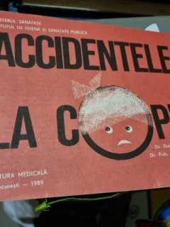 Doina Lupulescu, Valeriu Ghiceanu - Accidentele la Copii.