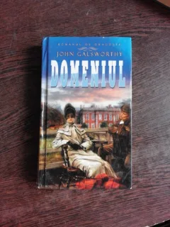 DOMENIUL - JOHN GALSWORTY