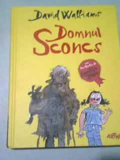DOMNUL SCONCS - DAVID WALLIAMS