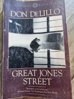 Don DeLillo - Great Jones Street