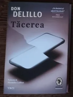 Don Delillo - Tacerea