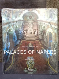 Donatella Mazzoleni - Palaces of naples