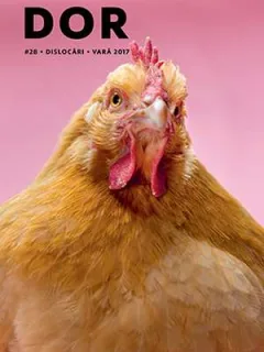 DoR #28 • Dislocări (DOR, nr. 28)