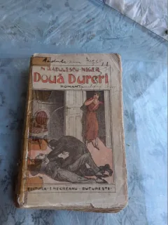 DOUA DURERI - N. RADULESCU NIGER