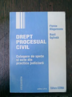 Drept procesual civil - Florea Magureanu, Bazil Oglinda