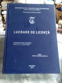 DREPTUL DE SUPERFICIE/LUCRARE DE LICENTA - BRAN DORINA EMILIA