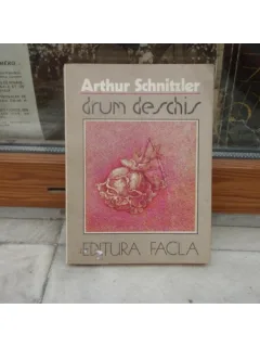 Drum deschis , Arthur Schnitzler