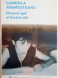 DRUMUL EGAL AL FIECAREI ZILE - GABRIELA ADAMESTEANU