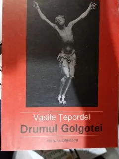 Drumul golgotei - Vasile Tepordei