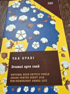 Drumul spre casa - Yaa Gyasi