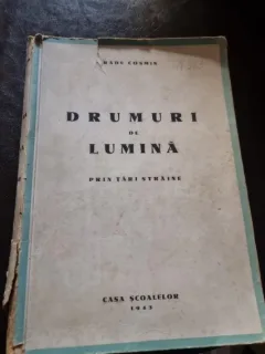 Drumuri de lumina. Prin tari straine - Radu Cosmin