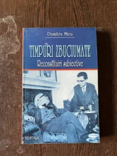 Dumitru Micu - Timpuri zbuciumate. Reconstituiri subiective