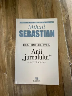 Dumitru Solomon - Anii jurnalului