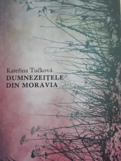 Dumnezeitele din moravia - Katerina Tuckova