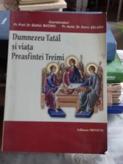DUMNEZEU TATAL SI VIATA PREASFINTEI TREIMI - STEFAN BUCHIU