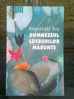 DUMNEZEUL LUCRURILOR MARUNTE - ARUNDHATI ROY