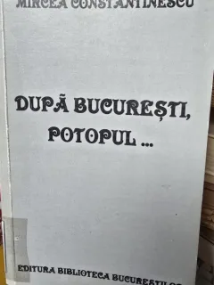 Dupa Bucuresti, potopul... - Mircea Constantinescu