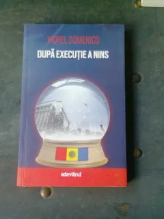 DUPA EXECUTIE A NINS - VIOREL DOMENICO