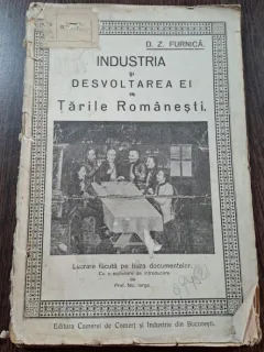 D.Z. Furnica - Industria si desvoltarea ei in Tarile romanesti