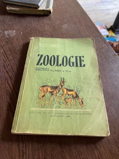 E. Sanielevici Zoologie manual pentru clasa a VI-a