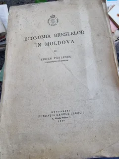 Economia breslelor in Moldova - Eugen Pavlescu
