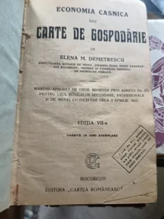 ECONOMIA CASNICA - ELENA M. DEMETRESCU (EDITIA VII)
