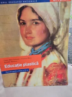 Educatie plastica, manual pentru clasa a VII-a - Oana Mari Solomon