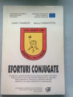 EFORTURI CONJUGATE - JUSTIN TAMBOZI