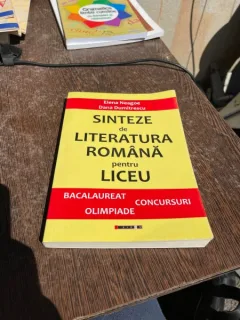 Elena Neagoe - Sinteze de literatura romana pentru liceu