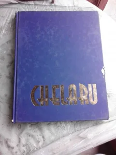 ELENA UTA CHELARU - ALEXANDRU CEBUC