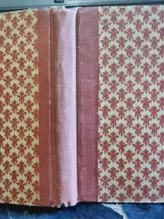 Elie Faure - Histoire de L'Art  - L'Art Moderne