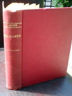 Emigrantii - Johan Bojer
