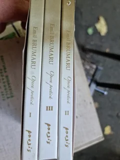 Emil Brumaru - Opera poetica 3 Volume