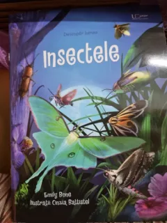 Emily Bone - Descopar lumea. Insectele