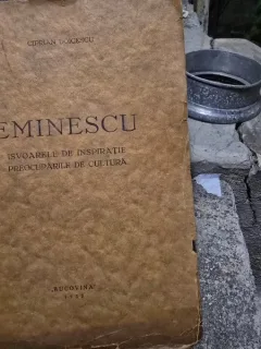 Eminescu Isvoarele de inspiratie si preocuparile de cultura - Ciprian Doicescu
