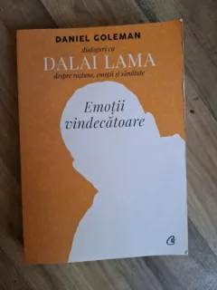 EMOTII VINDECATOARE