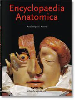 ENCYCLOPAEDIA ANATOMICA  (CARTE IN LIMBA ENGLEZA)