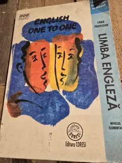 English one to one. Limba engleza fara profesor. Nivelul elementar - alan McLean, Sue Mahomed