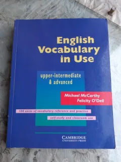 ENGLISH VOCABULARY IN USE - MICHAEL MCCARTHY
