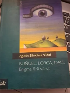 Enigma fără sfârșit de Agustin Sanchez Vidal