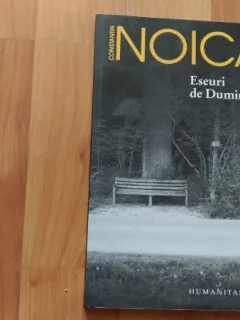 ESEURI DE DUMINICA - CONSTANTIN NOICA