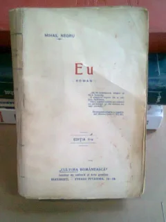 EU - MIHAIL NEGRU