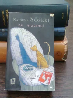 Eu, motanul - Soseki Natsume