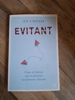 Evitant, cum sa iubesti sau sa parasesti un partener distant - Jeb Kinnison
