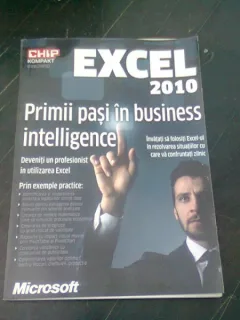 EXCEL 2010. PRIMII PASI IN BUSINESS INTELLIGENCE