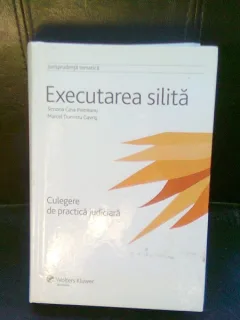 EXECUTAREA SILITA - SIMONA GINA PIETREANU