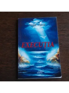 Executia , Virgil Ciuca