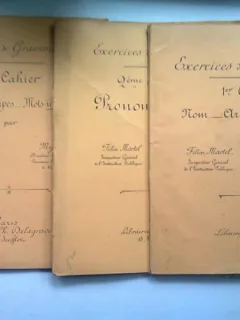 EXERCICES DE GRAMMAIRE. CAHIER 1,2,3 - FELIX MARTEL  (EXERCITII DE GRAMATICA, CAIETUL 1,2 SI 3)
