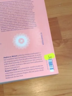 EXPERIENTA PSIHANALIZEI-STEPHEN A. BLACK