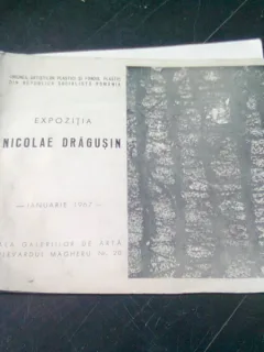 EXPOZITIA NICOLAE DRAGUSIN - IANUARIE 1967